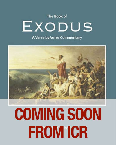 The Book of Exodus: A Verse by Verse Commentary