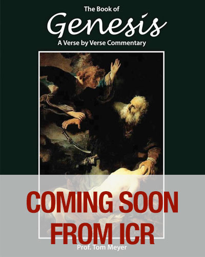 The book of Genesis: A verse by verse commentary