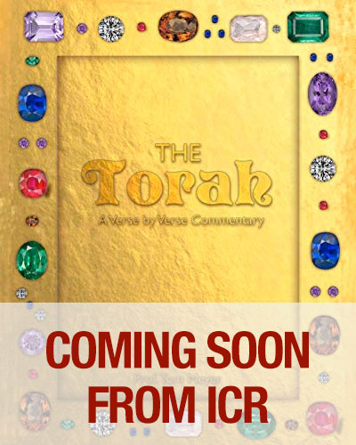 The Torah: A verse by verse commentary