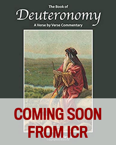 The Book of Deuteronomy: A verse by verse commentary