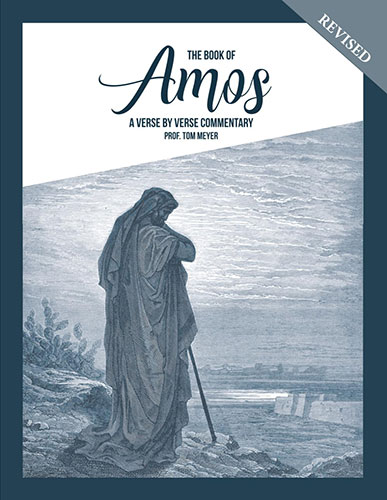 the book of amos: a verse by verse commentary by professor tom meyer