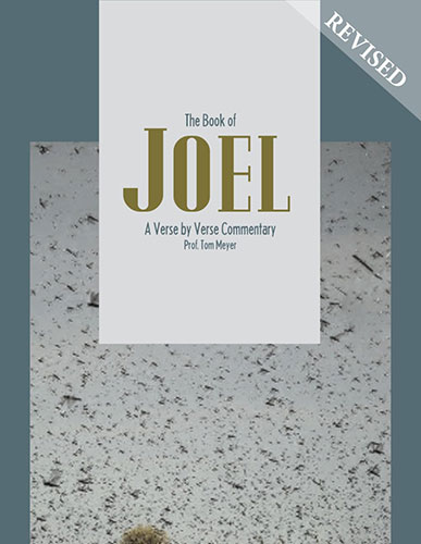 the book of joel: a verse by verse commentary by professor tom meyer
