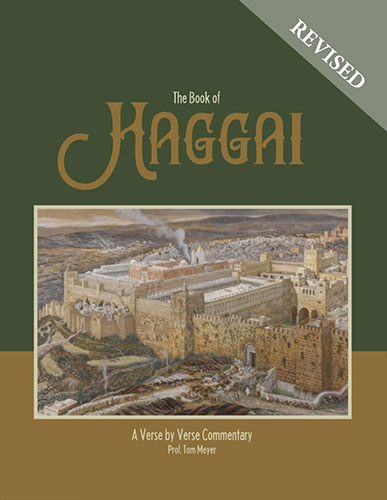 the book of haggai: a verse by verse commentary by professor tom meyer