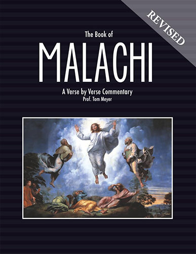 the book of malachi: a verse by verse commentary by professor tom meyer