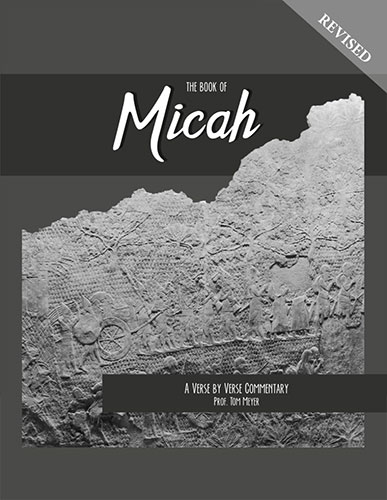 the book of micah: a verse by verse commentary by professor tom meyer